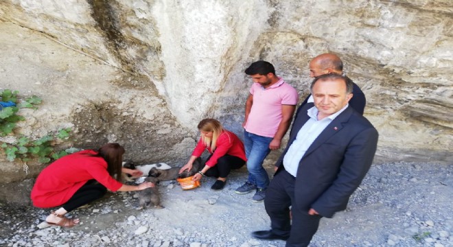 Hayvanlara kötü muamelede bulunan belediye personeline adli işlem 